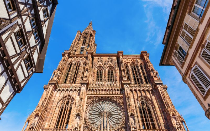 ALSAZIA, FORESTA NERA E VALLE DEL RENO